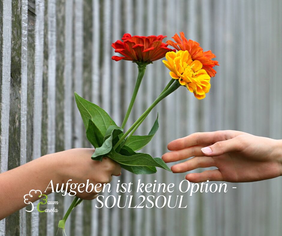 Aufgeben ist keine Option - SOUL2SOUL(4)