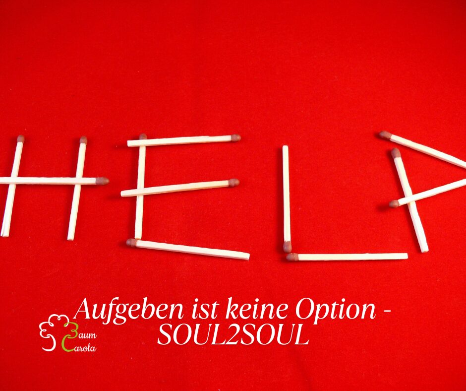 Aufgeben ist keine Option - SOUL2SOUL(5)