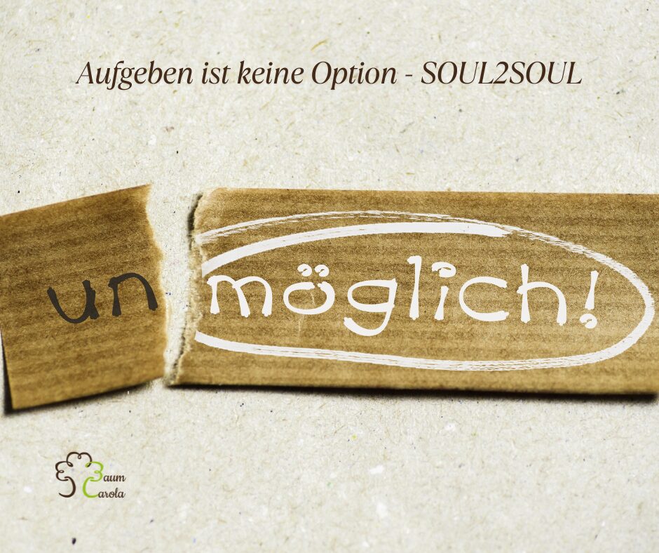 Aufgeben ist keine Option - SOUL2SOUL(6)