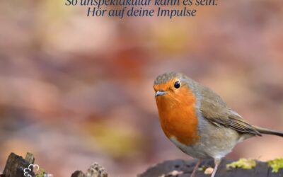 Es kann so unspektakulär sein