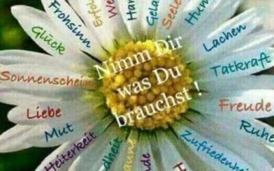 Seelenweg – Vom Wellenreiten zur Ganzheit