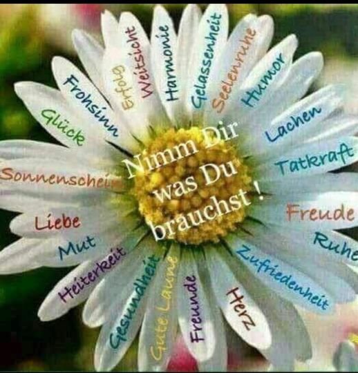 Seelenweg – Vom Wellenreiten zur Ganzheit