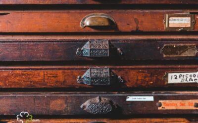 Schubladen öffnen: über Verbindung, Beziehung und einen leisen Perspektivenwechsel