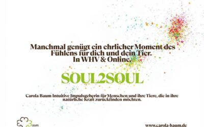 Nicht alle Wege sind gleich: Warum Verkörperung Zeit braucht