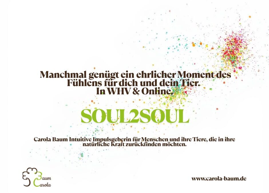 Nicht alle Wege sind gleich: Warum Verkörperung Zeit braucht