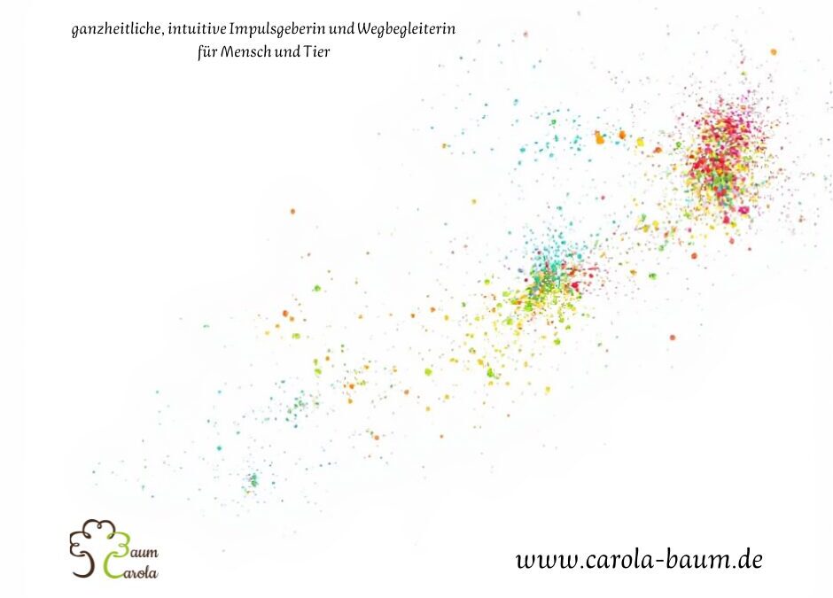 Nicht alle Wege sind gleich: Warum Verkörperung Zeit braucht
