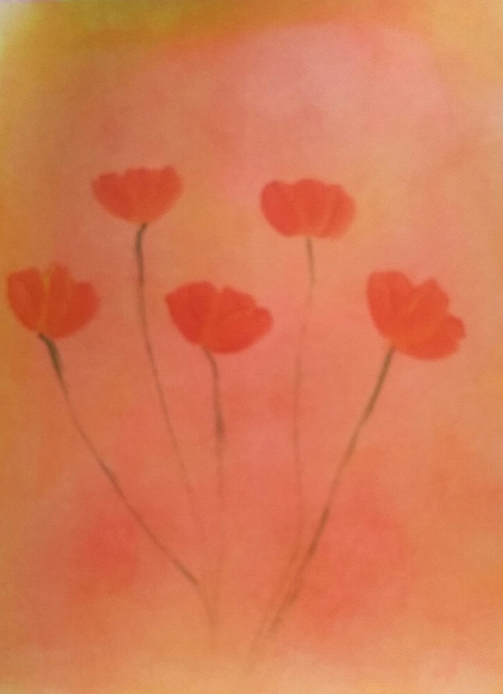 Krafttiere & Edelsteine für deinen Seelenweg