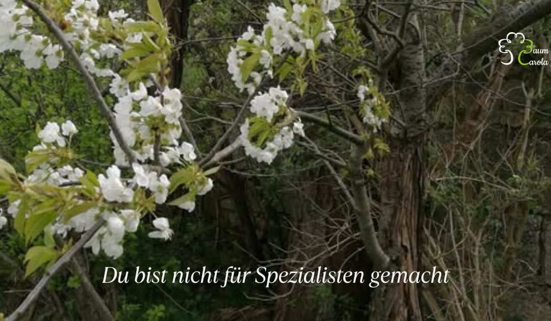 Du bist nicht für Spezialisten gemacht.