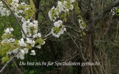 Du bist nicht für Spezialisten gemacht.