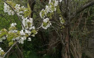 Du bist nicht für Spezialisten gemacht.