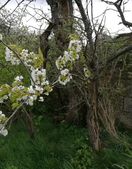 Du bist nicht für Spezialisten gemacht.