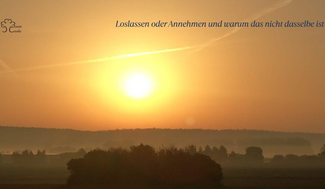 Loslassen oder Annehmen und warum das nicht dasselbe ist