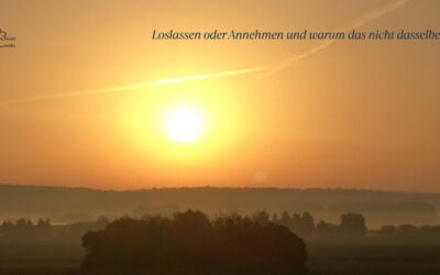 Loslassen oder Annehmen und warum das nicht dasselbe ist