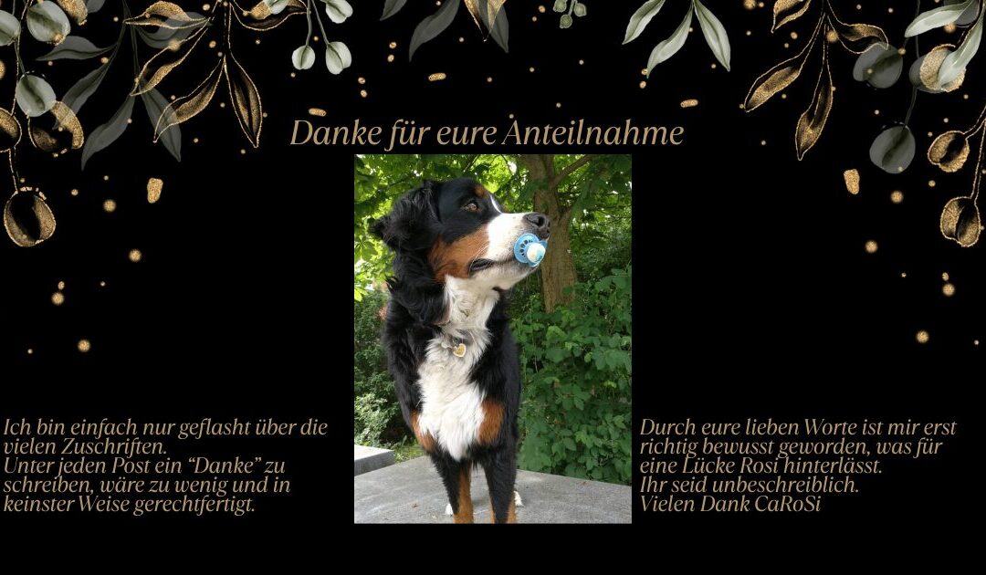 Rosi Seelengespräch und was ich wirklich nicht mal ahnte
