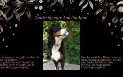 Rosi Seelengespräch und was ich wirklich nicht mal ahnte