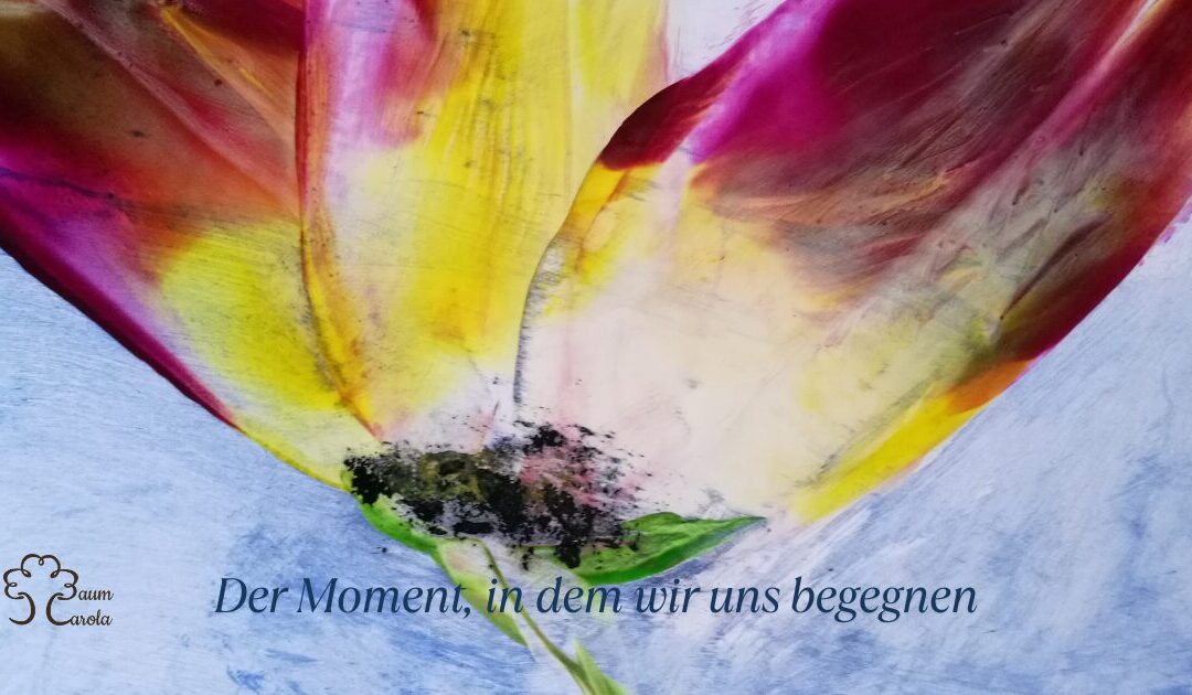 In dem Moment, in dem wir unseren Schatten begegnen…