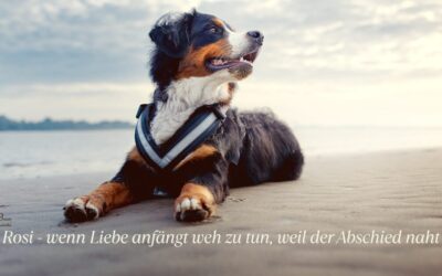 Rosi bereitet ihren Abschied vor