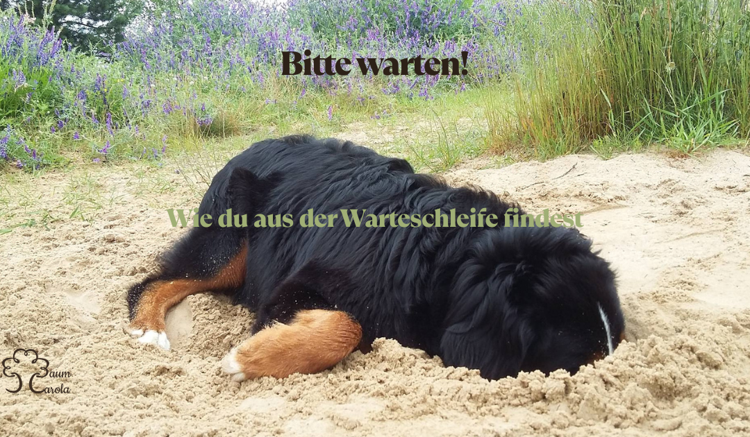 Bitte warten: Wie du aus der Warteschleife findest