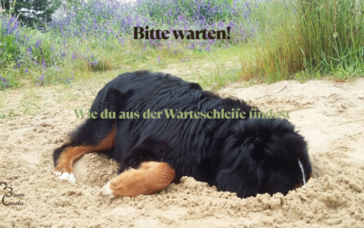 Bitte warten: Wie du aus der Warteschleife findest