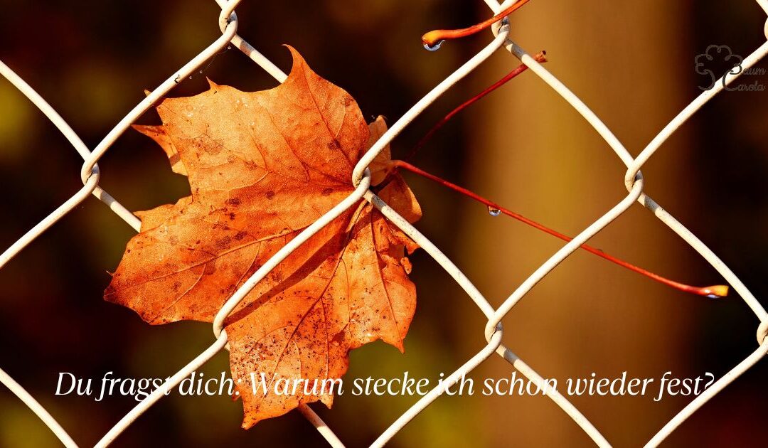 Warum du trotz Kursen immer feststeckst
