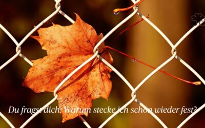 Warum du trotz Kursen immer feststeckst
