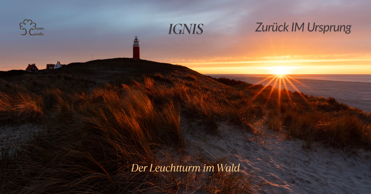 IGNIS - Der Leuchtturm im Wald